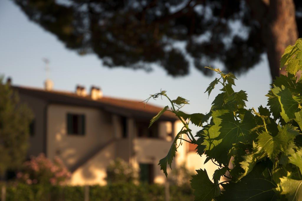 Agriturismo Quattro Pini Castagneto Carducci Exterior foto