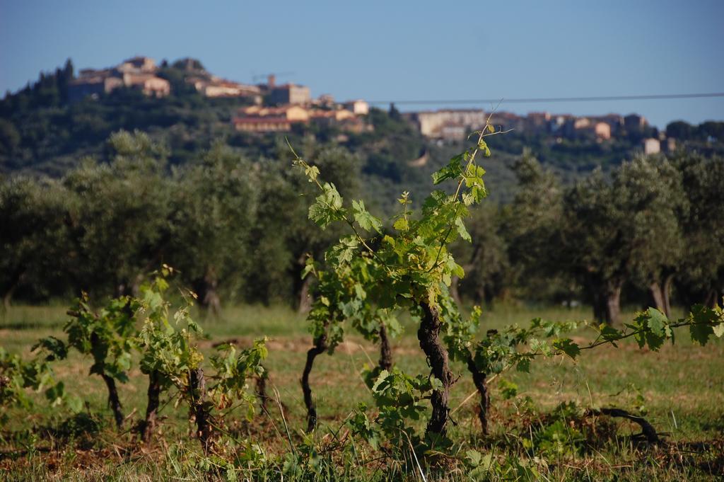 Agriturismo Quattro Pini Vila Castagneto Carducci Exterior foto