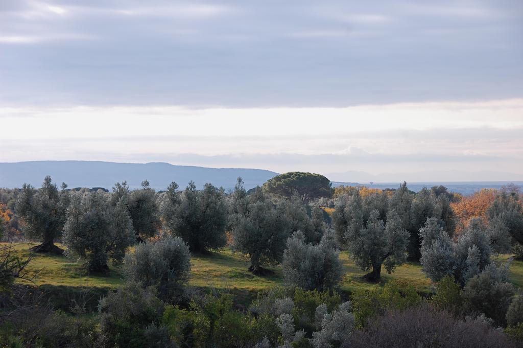 Agriturismo Quattro Pini Castagneto Carducci Exterior foto