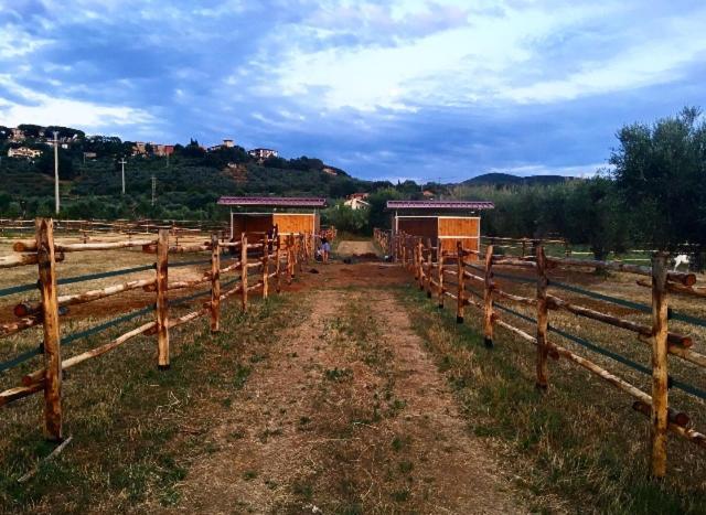 Agriturismo Quattro Pini Vila Castagneto Carducci Exterior foto